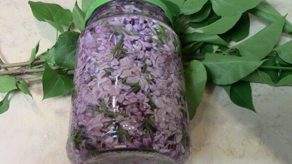 Alcohol tincture of lilac for rubbing the lower back affected by osteochondrosis